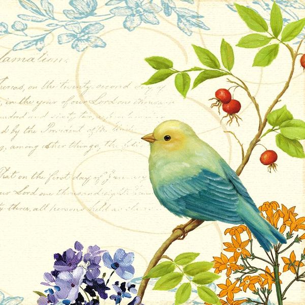 scarves square silk scarf women fashion bird print small neck scarfs office lady hair band foulard hand kerchief female bandana shawl, Blue;gray
scarves square silk scarf women fashion bird print small neck scarfs office lady hair band foulard hand kerchief female bandana shawl, Blue;gray