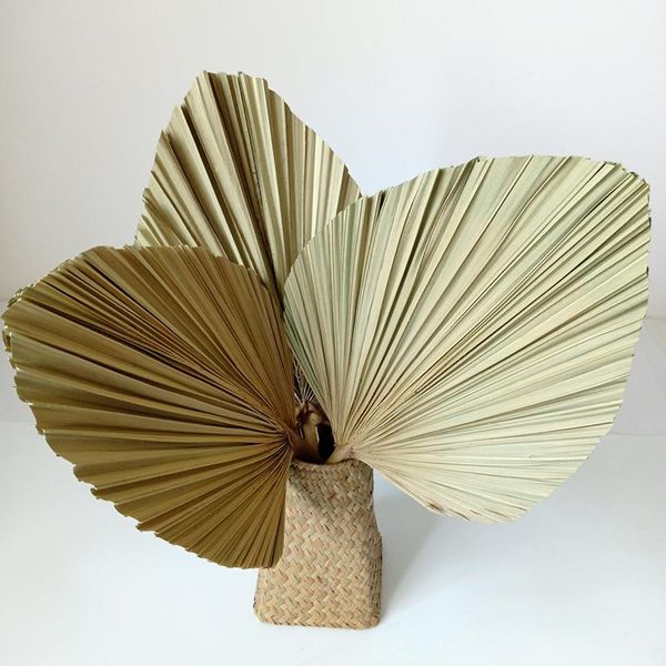 dongli flower natural dried spear cut palm bunch, preserved leaves palm tree for wedding decoration
dongli flower natural dried spear cut palm bunch, preserved leaves palm tree for wedding decoration