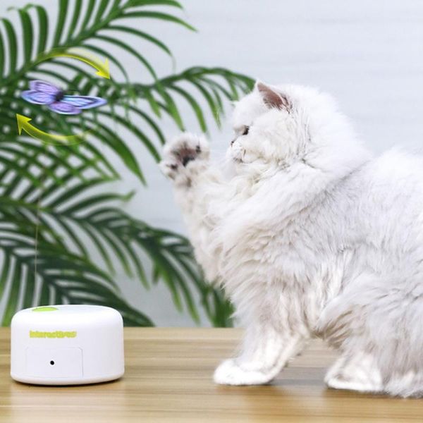 cat toys pet supplies induction flash butterfly sports device electric educational toy
cat toys pet supplies induction flash butterfly sports device electric educational toy