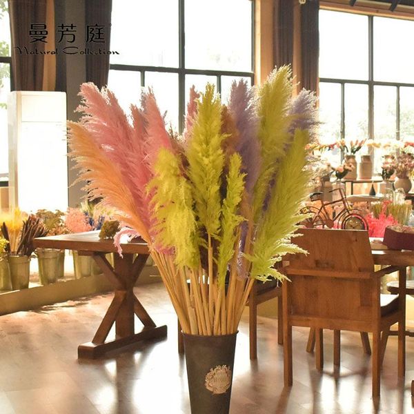 decorative flowers & wreaths nordic wind pink simulation dried brazil big cortaderia selloana for home decoration ornaments reed eternal
decorative flowers & wreaths nordic wind pink simulation dried brazil big cortaderia selloana for home decoration ornaments reed eternal