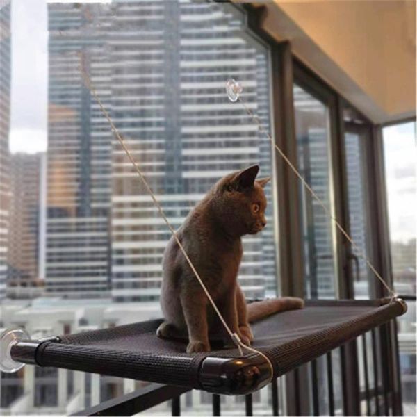 cat hanging beds washable pet hammock breathable basking sofa wall-mounted resting seat mesh cushion window shelf with sucker & furniture
cat hanging beds washable pet hammock breathable basking sofa wall-mounted resting seat mesh cushion window shelf with sucker & furniture