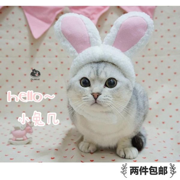 cat headgear cute plush bunnies ears adjustable headgear pet dress up supplies cosplay products pet supplies
cat headgear cute plush bunnies ears adjustable headgear pet dress up supplies cosplay products pet supplies