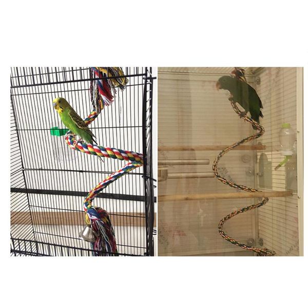other bird supplies parrot garden swing rotation pet toys non toxic funny portable colorful gift climbing rope
other bird supplies parrot garden swing rotation pet toys non toxic funny portable colorful gift climbing rope