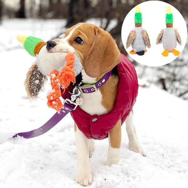 bite resistant plush duck dog chew toys for small large dogs squeaker puppy big dog toy cleaning teeth labrador pet products
bite resistant plush duck dog chew toys for small large dogs squeaker puppy big dog toy cleaning teeth labrador pet products