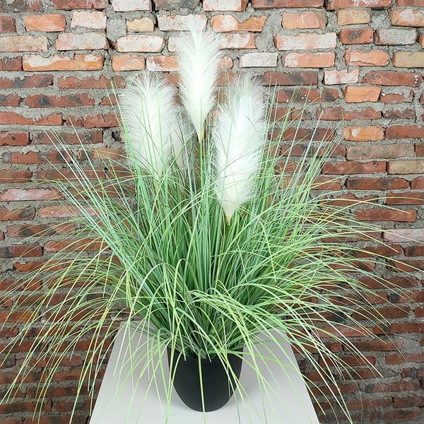 spot supply of landscape plants simulation reed grass basin simulation dandelion potted onion grass artificial plants greenery
spot supply of landscape plants simulation reed grass basin simulation dandelion potted onion grass artificial plants greenery