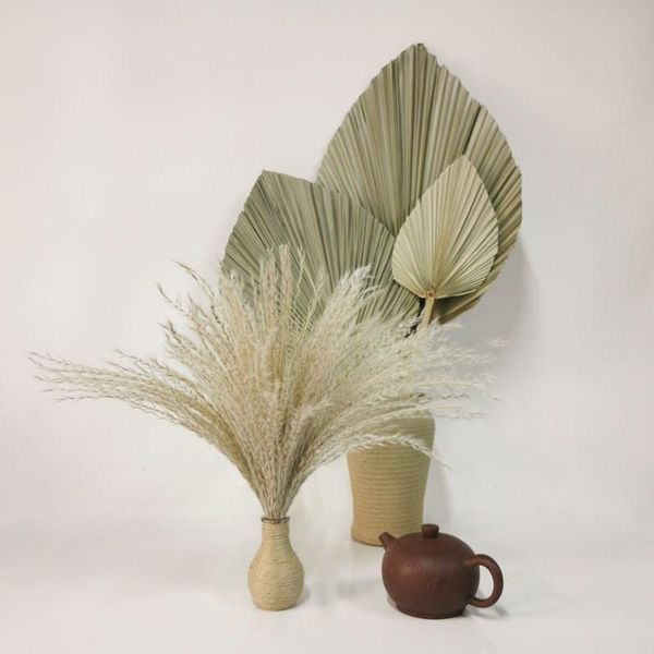 decorative flowers & wreaths dried reed flower material arrangement natural pampas grass for modern home decoration party backdrops wedding
decorative flowers & wreaths dried reed flower material arrangement natural pampas grass for modern home decoration party backdrops wedding