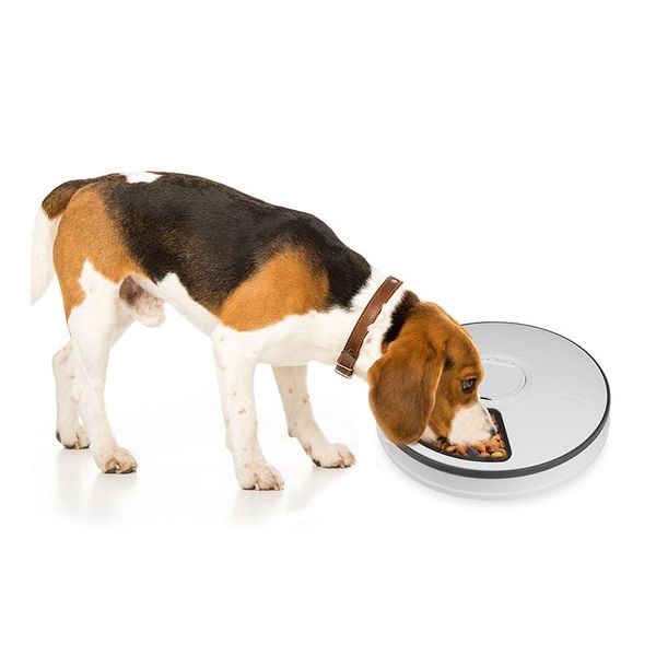 dog bowls & feeders pet cat and intelligent timing automatic feeder six-hole supplies products 2021
dog bowls & feeders pet cat and intelligent timing automatic feeder six-hole supplies products 2021