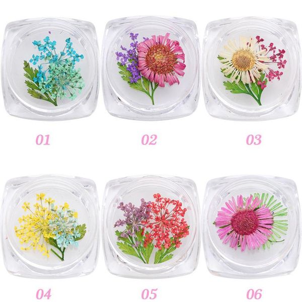 random 4 boxes real dried flower plants for epoxy resin pendant necklace jewelry making craft diy accessories/diy jllniv
random 4 boxes real dried flower plants for epoxy resin pendant necklace jewelry making craft diy accessories/diy jllniv