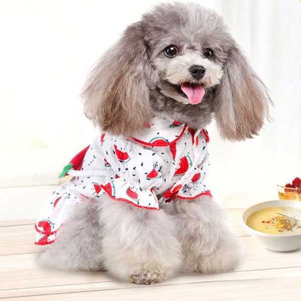 dog apparel pet dress colorful clothes comfortable cupcake cute watermelon skirt puppy accessory princess
dog apparel pet dress colorful clothes comfortable cupcake cute watermelon skirt puppy accessory princess