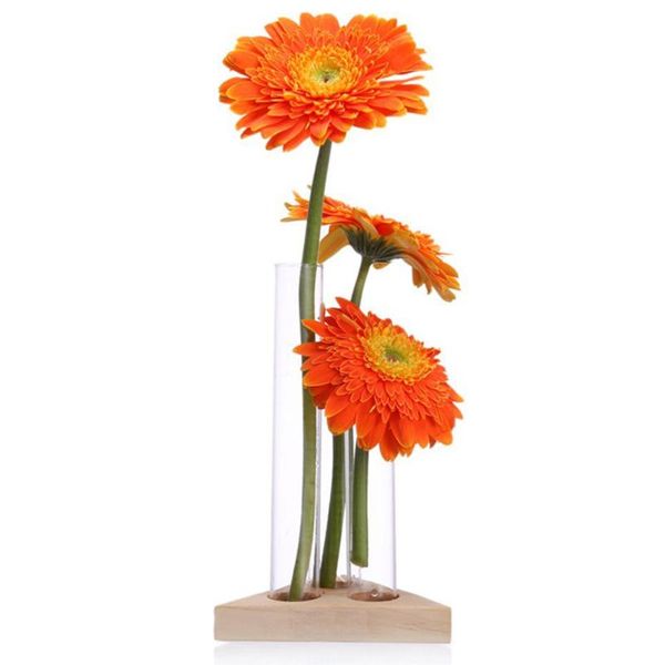 vases flower vase glass tubes clear pot with wooden stand for hydroponic plants test container home table decor t
vases flower vase glass tubes clear pot with wooden stand for hydroponic plants test container home table decor t
