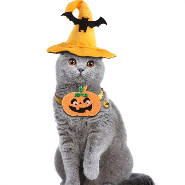 cat costumes kitty apparel holiday accessories funny party dress pet costume pumpkin hat up halloween decoration
cat costumes kitty apparel holiday accessories funny party dress pet costume pumpkin hat up halloween decoration
