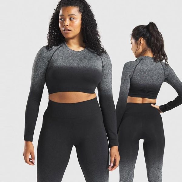 women seamless yoga set gym high waist leggings t-shirts suit long sleeve fitness workout sport running sportswear set, White;red
women seamless yoga set gym high waist leggings t-shirts suit long sleeve fitness workout sport running sportswear set, White;red