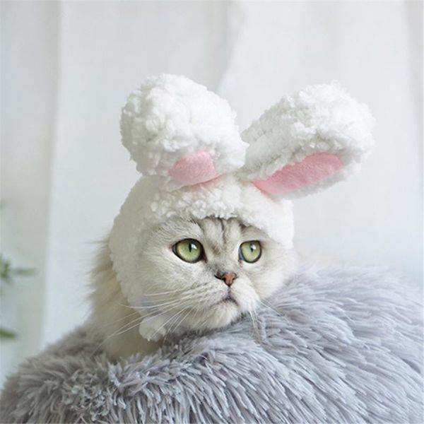 dog apparel cat cap with ears pet costume cosplay halloween xmas clothes small dogs animals hat party supplies
dog apparel cat cap with ears pet costume cosplay halloween xmas clothes small dogs animals hat party supplies