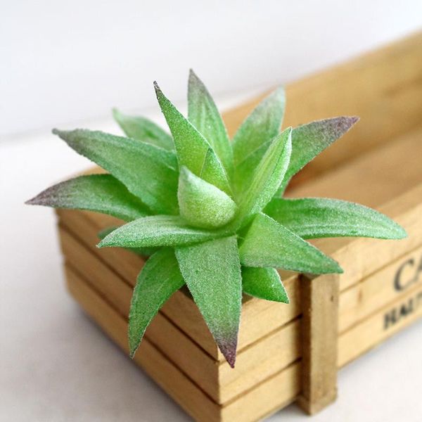 decorative flowers & wreaths simulation succulent flower bonsai home living room office deskdecor gift favor lifelike artificial plants
decorative flowers & wreaths simulation succulent flower bonsai home living room office deskdecor gift favor lifelike artificial plants