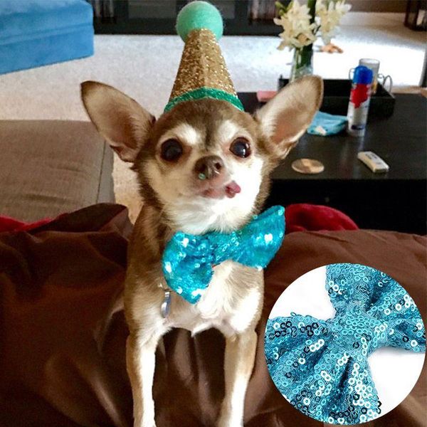 dog apparel pet cute glitter sequins dogs caps bowknot neck tie headwear costume wedding party cone hat decor decorative
dog apparel pet cute glitter sequins dogs caps bowknot neck tie headwear costume wedding party cone hat decor decorative