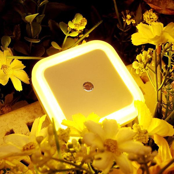 led night light induction sensor control led night light smart home for baby bedroom lamp with us eu plug auto
led night light induction sensor control led night light smart home for baby bedroom lamp with us eu plug auto