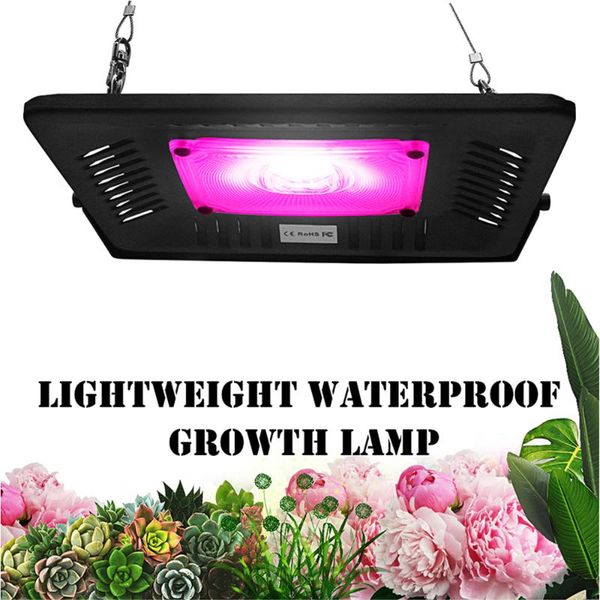 black aluminum plant full spectrum greenhouse cultivation 50w 100w 150w led grow light for outdoor garden veg seedlings flowers
black aluminum plant full spectrum greenhouse cultivation 50w 100w 150w led grow light for outdoor garden veg seedlings flowers