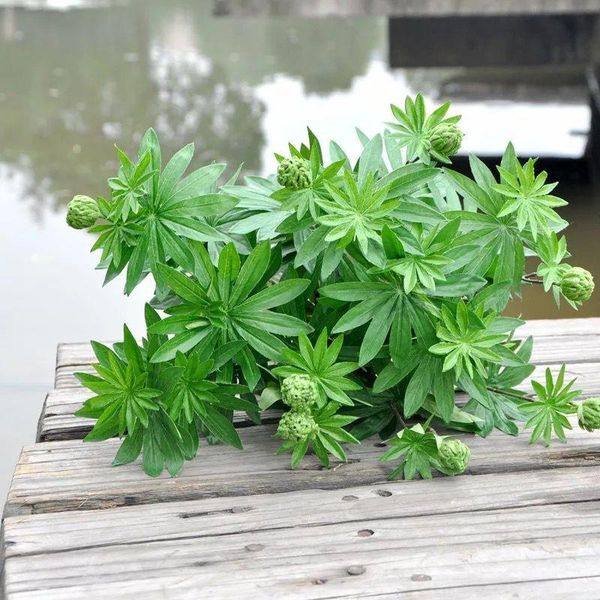 decorative flowers & wreaths artificial willow bouquet fake leaves for home christmas wedding decoration jugle party vine faux foliage plant
decorative flowers & wreaths artificial willow bouquet fake leaves for home christmas wedding decoration jugle party vine faux foliage plant