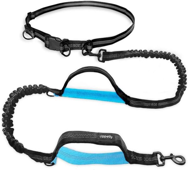 cat collars & leads dog running leash hands adjustable waist belt elastic bungees retractable traction rope pull leashs chest strap jog
cat collars & leads dog running leash hands adjustable waist belt elastic bungees retractable traction rope pull leashs chest strap jog