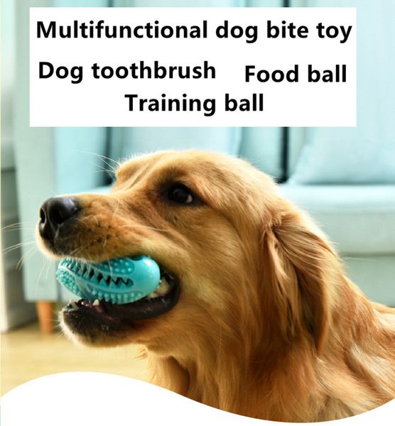fashion dog chew toy rubber pet tooth cleaning chew balls feeder chew ball tooth cleaning ball training dog toys
fashion dog chew toy rubber pet tooth cleaning chew balls feeder chew ball tooth cleaning ball training dog toys