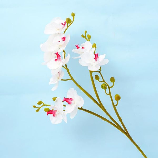 decorative flowers & wreaths wedding decor indoor artificial flower phalaenopsis 4branches 11heads orchid moisturized touch orchids home dec
decorative flowers & wreaths wedding decor indoor artificial flower phalaenopsis 4branches 11heads orchid moisturized touch orchids home dec