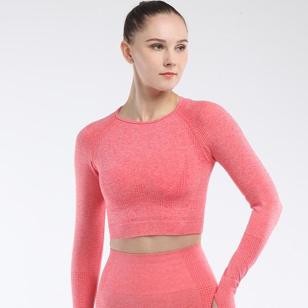 yoga outfits seamless long sleeve wear women set workout sportswear gym clothing fitness crop sports suits, White;red
yoga outfits seamless long sleeve wear women set workout sportswear gym clothing fitness crop sports suits, White;red