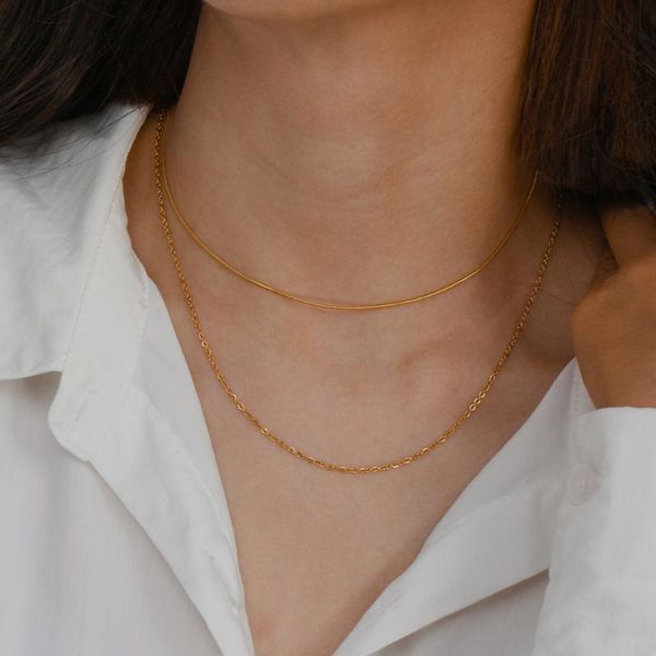 chains 2021 minimalist basic snake chain link double layer thin gold necklace for women ladies stainless steel jewelry, Silver
chains 2021 minimalist basic snake chain link double layer thin gold necklace for women ladies stainless steel jewelry, Silver