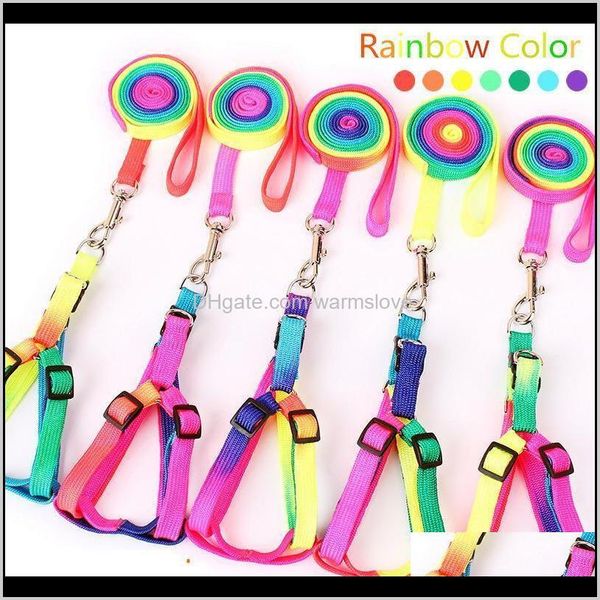 adjustable small pet dog leash harness nylon colorful puppy lead leashes walk out hand strap vest collar for dog cat rabbit st260 bcan nudjy
adjustable small pet dog leash harness nylon colorful puppy lead leashes walk out hand strap vest collar for dog cat rabbit st260 bcan nudjy