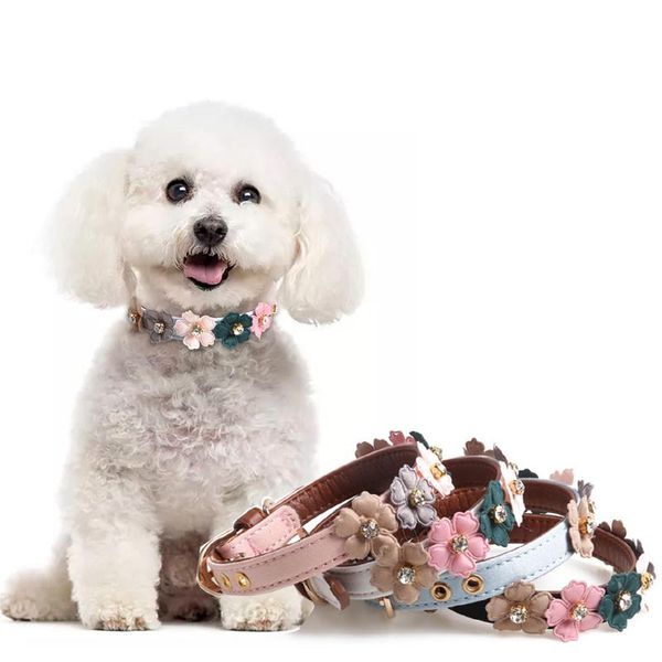 dog collars & leashes pet collar adjustable lovely cat pu necklace for small and medium pets 4 color
dog collars & leashes pet collar adjustable lovely cat pu necklace for small and medium pets 4 color