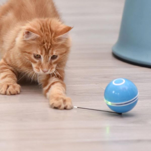 cat toys automatic smart ball interactive catnip usb rechargeable self rotating colorful led feather bells for cats kitten
cat toys automatic smart ball interactive catnip usb rechargeable self rotating colorful led feather bells for cats kitten