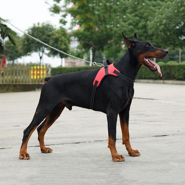 pet dogs harness collar pet products for large dog puppy lead pets vest dog leads accessories chihuahua dropshipping
pet dogs harness collar pet products for large dog puppy lead pets vest dog leads accessories chihuahua dropshipping