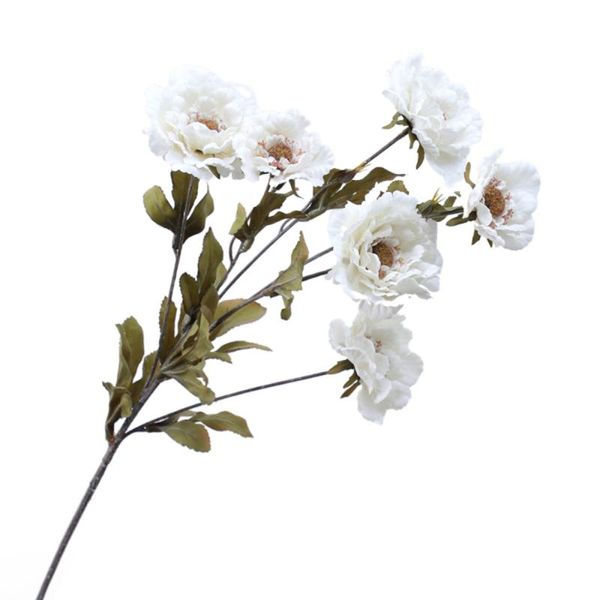 decorative flowers & wreaths camellia silk 1 bouquet 6 heads tea rose lotus cranes and peonies decor feel moisturizing for diy home garden p
decorative flowers & wreaths camellia silk 1 bouquet 6 heads tea rose lotus cranes and peonies decor feel moisturizing for diy home garden p