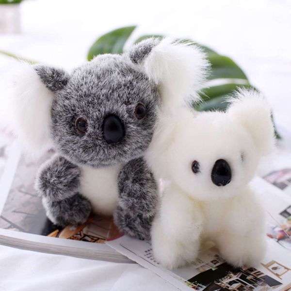 plush zhenning cute teddy li simulation the small same koala doll gift kaws fidget toys
plush zhenning cute teddy li simulation the small same koala doll gift kaws fidget toys