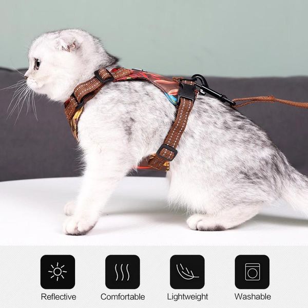 new reflective cat sling traction rope double disc anti-strike hawaiian wind sliding cat rope traction dark blue m
new reflective cat sling traction rope double disc anti-strike hawaiian wind sliding cat rope traction dark blue m
