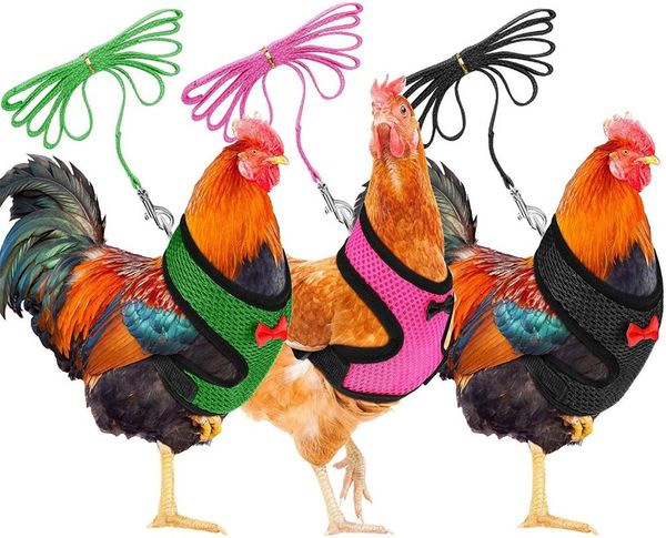 dog tag,id card chicken vest pet reflective adjustable rope with leash matching belt poultry hen saddle apron feather protection
dog tag,id card chicken vest pet reflective adjustable rope with leash matching belt poultry hen saddle apron feather protection