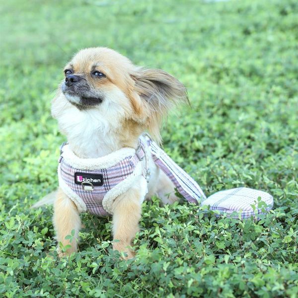dog collars & leashes zichen pet harness leash snack bag adjust cotton flannel cloth large cat vest double reinforcement 4 color
dog collars & leashes zichen pet harness leash snack bag adjust cotton flannel cloth large cat vest double reinforcement 4 color