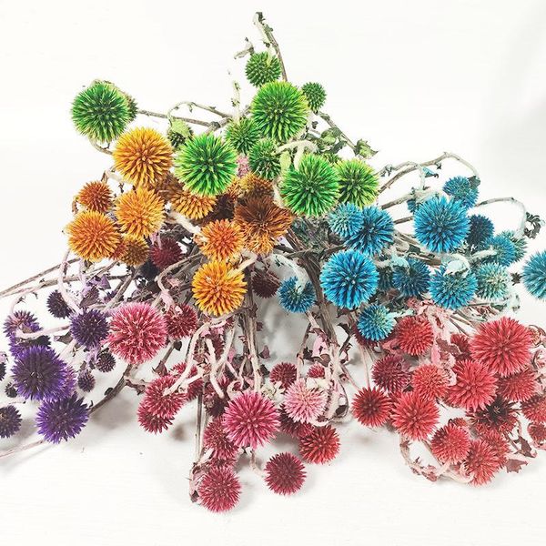 decorative flowers & wreaths 1 bunch fresh blue planet preserved flower deskgarden wedding christmas decoration shooting pr
decorative flowers & wreaths 1 bunch fresh blue planet preserved flower deskgarden wedding christmas decoration shooting pr