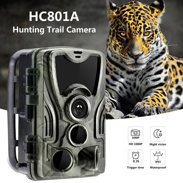801a hunting trail camera wildlife camera with night vision motion activated outdoor video surveillance wildlife scouting
801a hunting trail camera wildlife camera with night vision motion activated outdoor video surveillance wildlife scouting