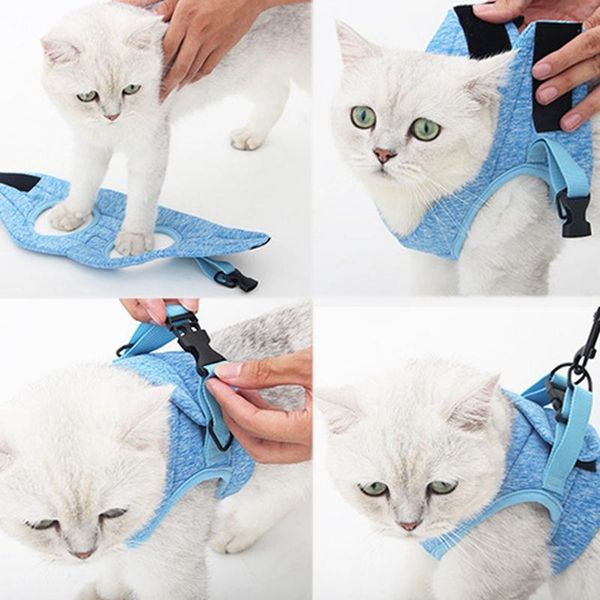 pet dog cat harness escape-proof anti-paralysis small cat and dog soft mesh vest harnesses adjustable quick release pet harness
pet dog cat harness escape-proof anti-paralysis small cat and dog soft mesh vest harnesses adjustable quick release pet harness