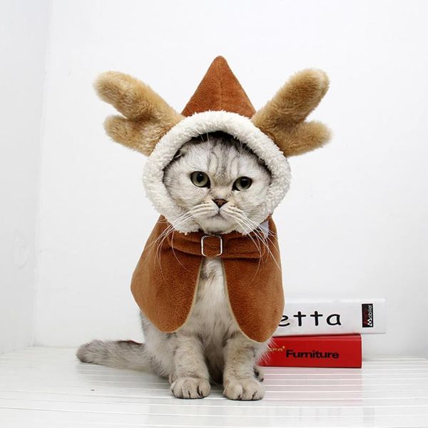 cat costumes chinese style horn of dragon plush hooded cloak for pet dog teddy autumn winter wear