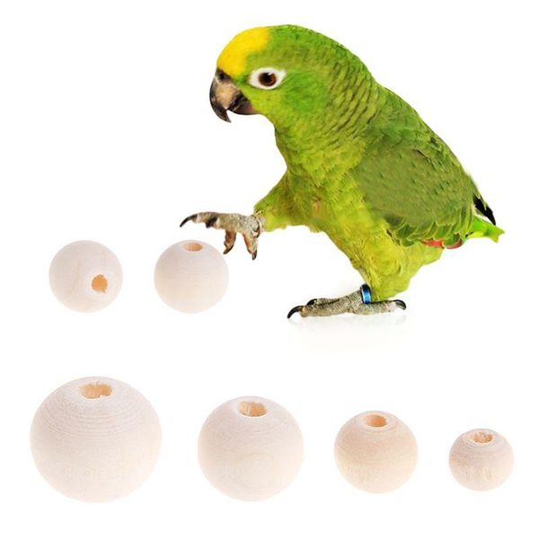 50pcs/pack diy toy accessories for parrot multipurpose diy bird toy accessories natural striped beads decorations
50pcs/pack diy toy accessories for parrot multipurpose diy bird toy accessories natural striped beads decorations