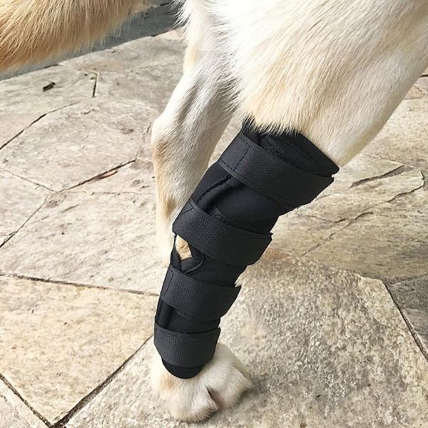 dog apparel a knee brace for dogs rear compression joint wrap protects wounds prevent arthritis injury
dog apparel a knee brace for dogs rear compression joint wrap protects wounds prevent arthritis injury