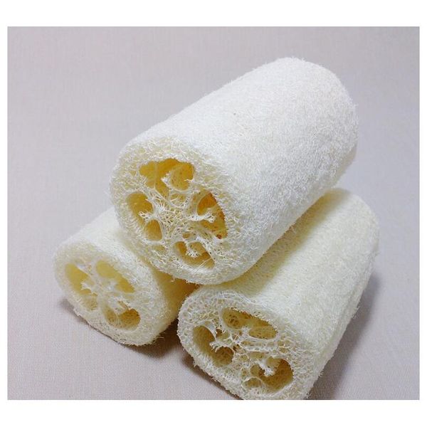 natural loofah sponge bath peeling brush scrubber skin care exfoliating tan shower sponge mas puff loofa mesh s jllysk warmslove
natural loofah sponge bath peeling brush scrubber skin care exfoliating tan shower sponge mas puff loofa mesh s jllysk warmslove
