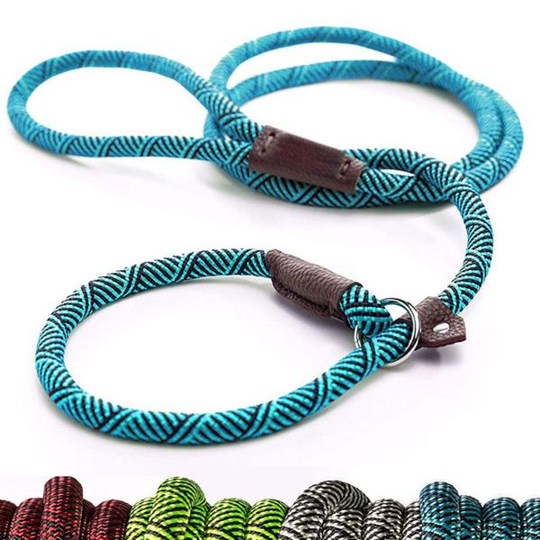 durable dog slip rope leash adjustable loop collar comfortable leash supports the strongest pulling large medium dogs
durable dog slip rope leash adjustable loop collar comfortable leash supports the strongest pulling large medium dogs