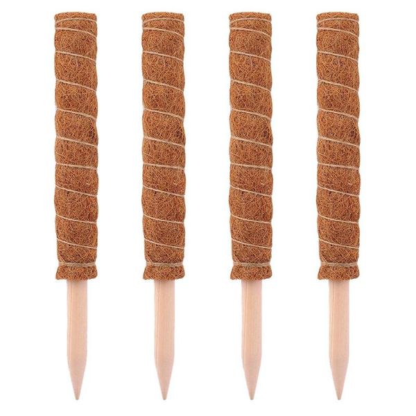 decorative flowers & wreaths 4 pcs gardening supplies green dill potted plant climbing pole coconut palm stick flower stand
decorative flowers & wreaths 4 pcs gardening supplies green dill potted plant climbing pole coconut palm stick flower stand