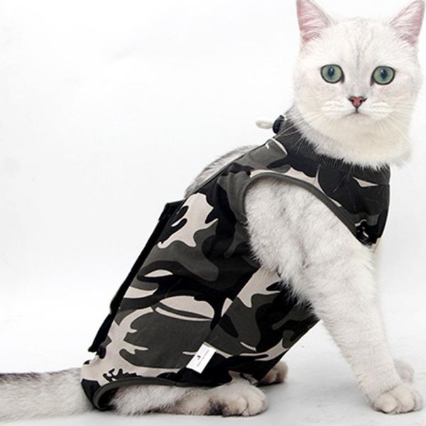 cat costumes harness small puppy vest mesh pet adjustable camouflage clothes for medium dogs cats chihuahua jacket
cat costumes harness small puppy vest mesh pet adjustable camouflage clothes for medium dogs cats chihuahua jacket