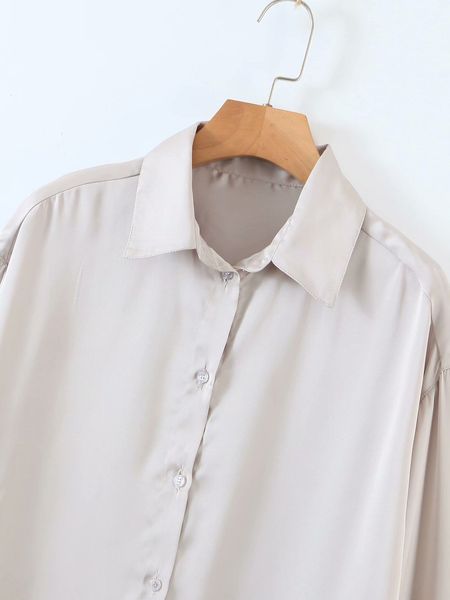 2021 new fashion satin shirts woman oversize boyfriend style ladies long sleeve blouses udhd, Tan;black
2021 new fashion satin shirts woman oversize boyfriend style ladies long sleeve blouses udhd, Tan;black