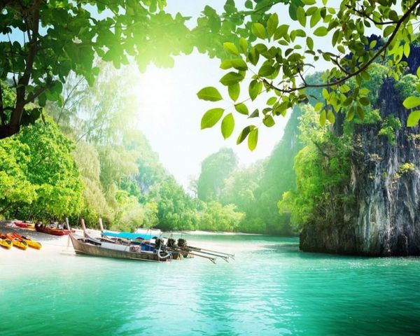 wallpapers family living room restaurant decorate wallpaper custom 3d bedroom mural jungle lake tv sofa background
wallpapers family living room restaurant decorate wallpaper custom 3d bedroom mural jungle lake tv sofa background