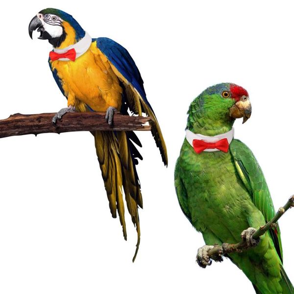 other bird supplies pet clothes handmade custom parrot collar bow tie clothing decoration accessories puppy cat
other bird supplies pet clothes handmade custom parrot collar bow tie clothing decoration accessories puppy cat