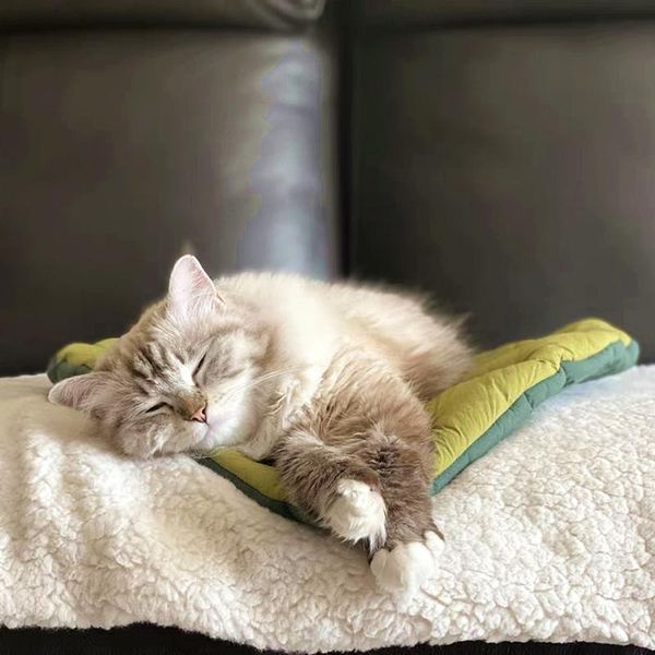 cat beds & furniture leaf shape soft dog bed mat crate pad, machine washable mattress for large medium small dogs and cats kennel pad
cat beds & furniture leaf shape soft dog bed mat crate pad, machine washable mattress for large medium small dogs and cats kennel pad